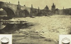 - Světozor roč. 8 č.18