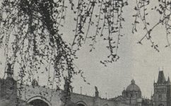 - Český svět 13.07.1906