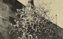 - Světozor 16.05.1929