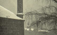 Bruncvíkova socha - Světozor 05.02.1909 