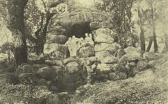  - Český svět 25.11.1920 