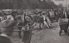  - Světozor 09.08.1934 