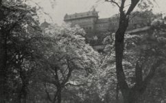 zahrada - Světozor 30.04.1915 