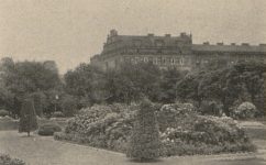  - Světozor roč. 6 č. 36 