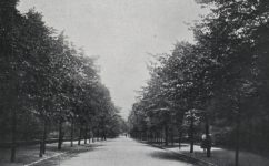  - Český svět 1.8.1913 